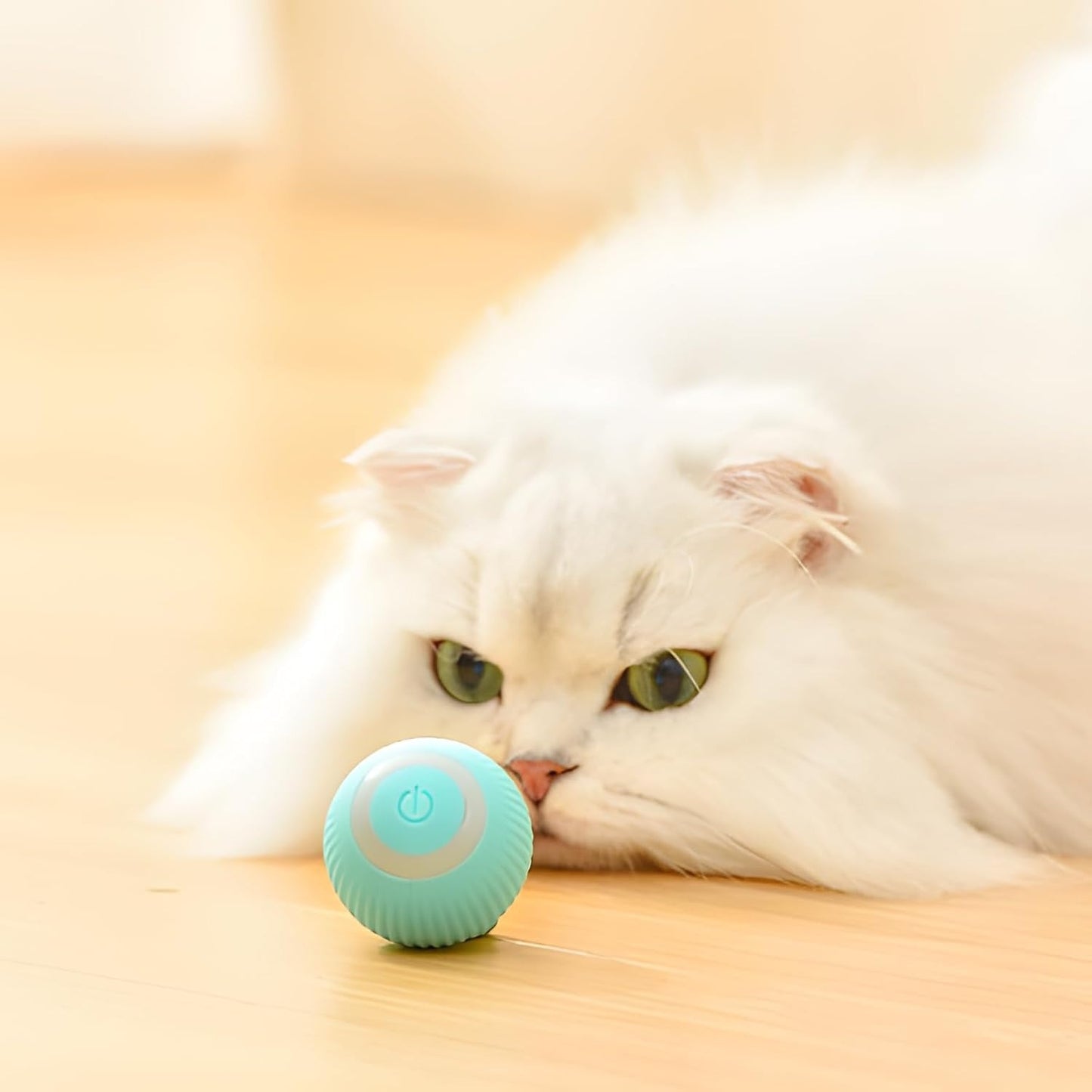 Smart Pet Teasing Ball
