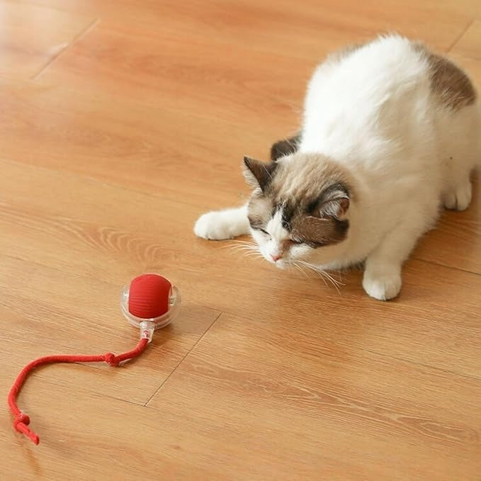 Automatic Cat Teaser Ball