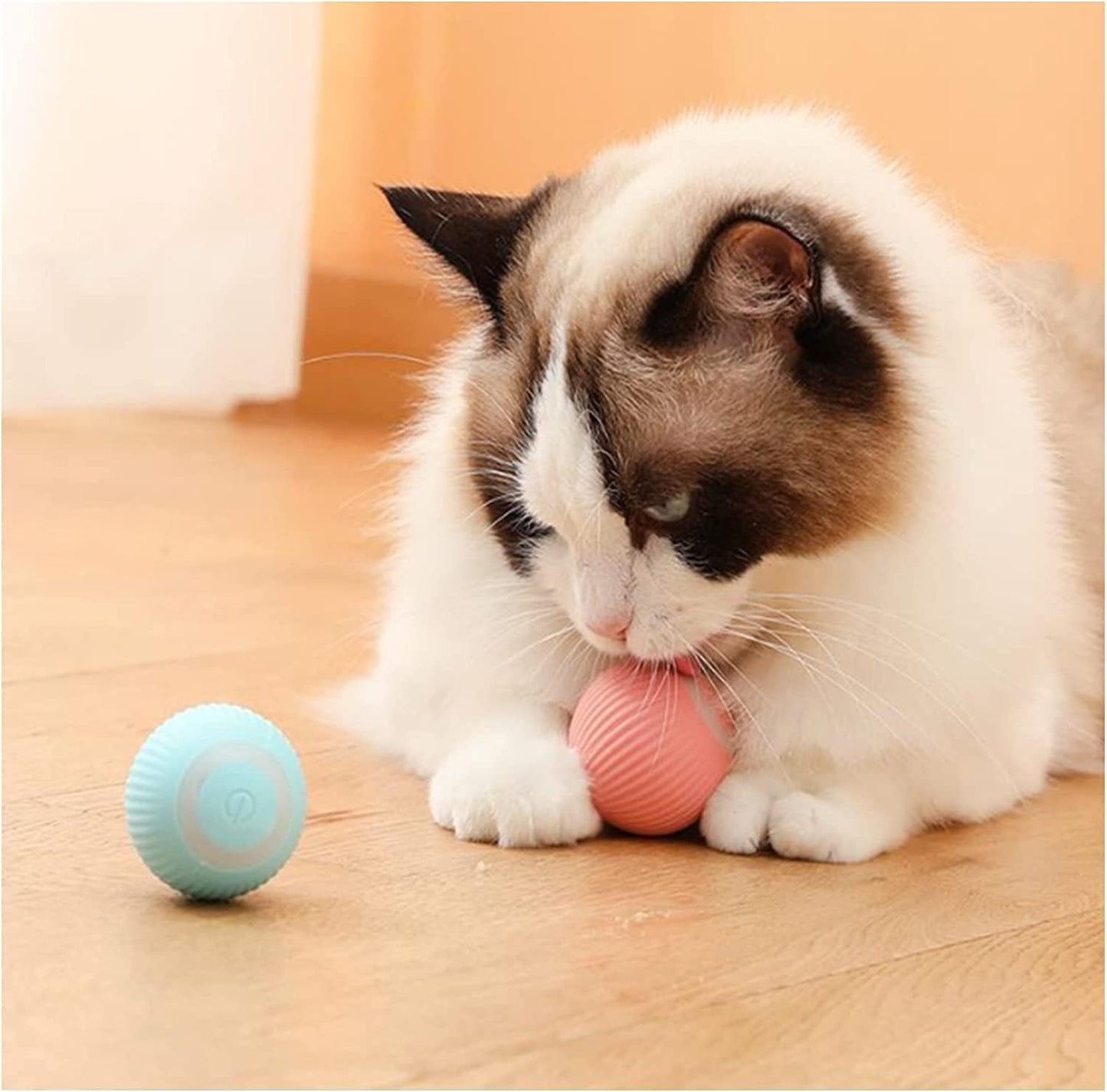 Smart Pet Teasing Ball