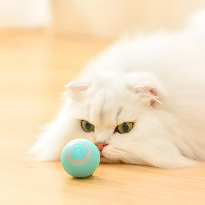 Smart Pet Teasing Ball