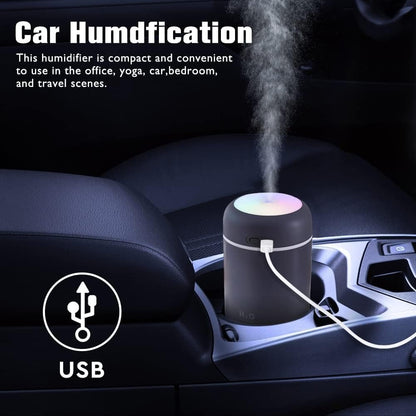 H2O Humidifier
