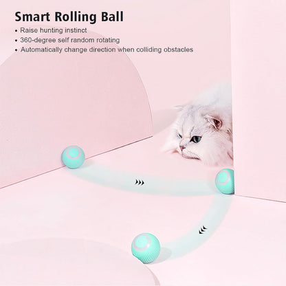 Smart Pet Teasing Ball