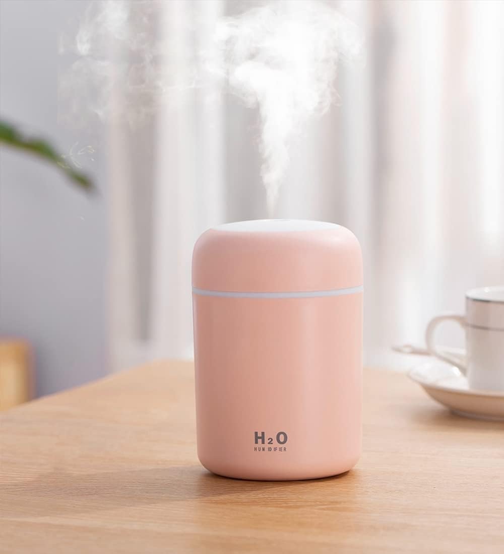 H2O Humidifier