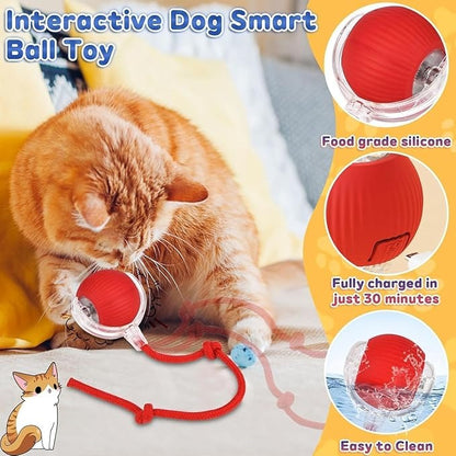 Automatic Cat Teaser Ball