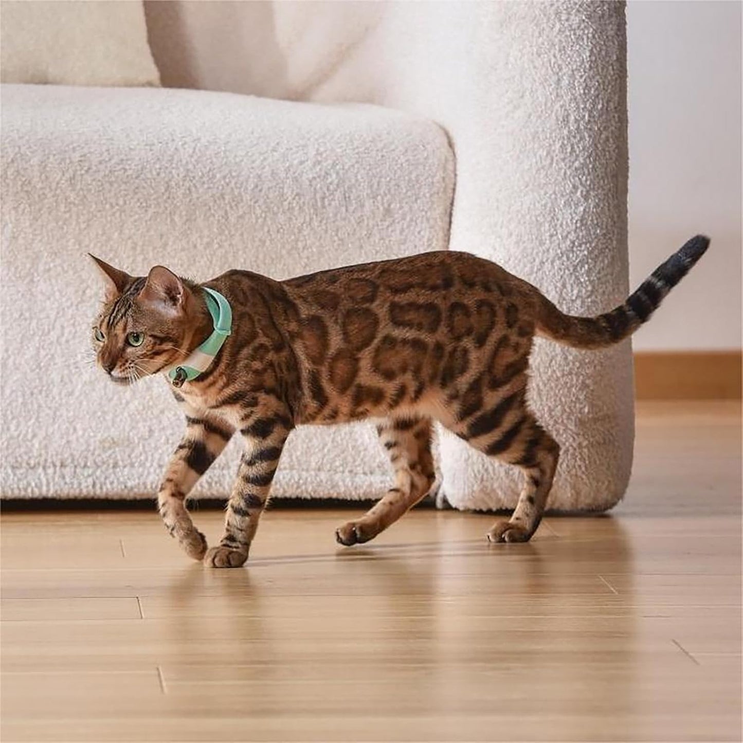 Wearable Cat Collar Laser Toy