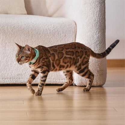 Wearable Cat Collar Laser Toy