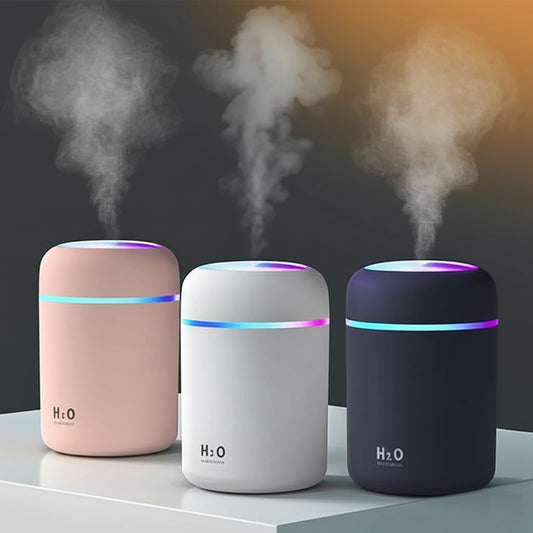 H2O Humidifier